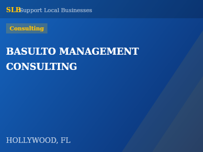 BASULTO MANAGEMENT CONSULTING — Consulting in HOLLYWOOD, FL