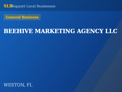 BEEHIVE MARKETING AGENCY LLC — General Business in WESTON, FL