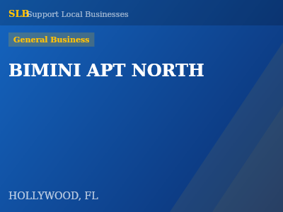 BIMINI APT NORTH — General Business in HOLLYWOOD, FL