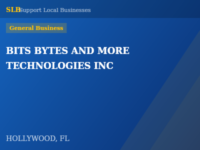 BITS BYTES AND MORE TECHNOLOGIES INC — General Business in HOLLYWOOD, FL