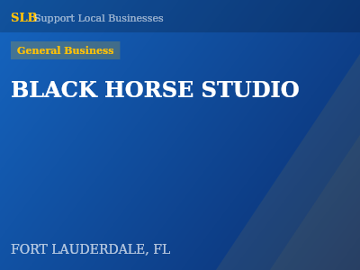 BLACK HORSE STUDIO — General Business in FORT LAUDERDALE, FL