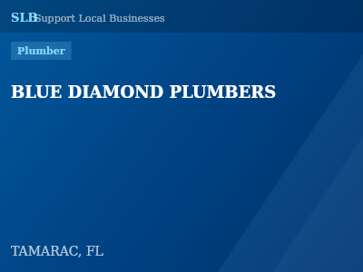 BLUE DIAMOND PLUMBERS — Plumber in TAMARAC, FL