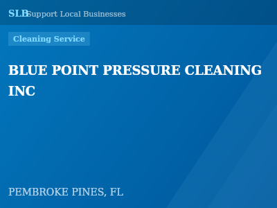 BLUE POINT PRESSURE CLEANING INC — Cleaning Service in PEMBROKE PINES, FL