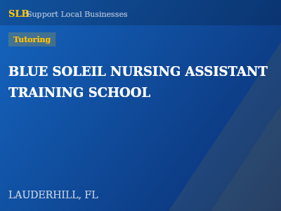 BLUE SOLEIL NURSING ASSISTANT TRAINING SCHOOL — Tutoring in LAUDERHILL, FL