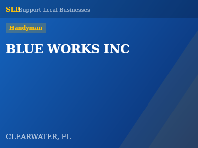 BLUE WORKS INC — Handyman in CLEARWATER, FL