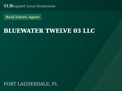 BLUEWATER TWELVE 03 LLC — Real Estate Agent in FORT LAUDERDALE, FL