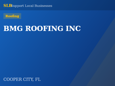BMG ROOFING INC — Roofing in COOPER CITY, FL