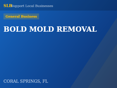 BOLD MOLD REMOVAL — General Business in CORAL SPRINGS, FL