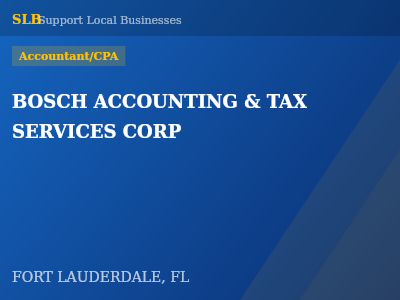 BOSCH ACCOUNTING & TAX SERVICES CORP — Accountant/CPA in FORT LAUDERDALE, FL