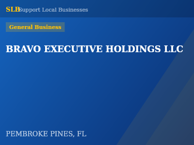 BRAVO EXECUTIVE HOLDINGS LLC — General Business in PEMBROKE PINES, FL