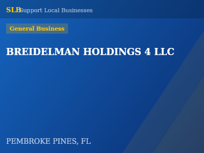 BREIDELMAN HOLDINGS 4 LLC — General Business in PEMBROKE PINES, FL