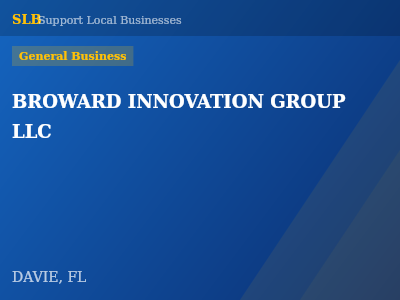 BROWARD INNOVATION GROUP LLC — General Business in DAVIE, FL