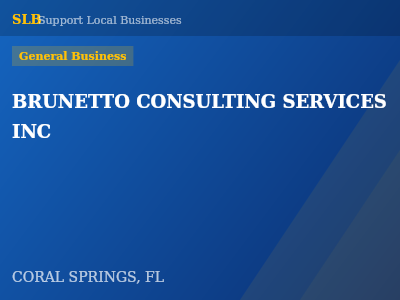 BRUNETTO CONSULTING SERVICES INC — General Business in CORAL SPRINGS, FL