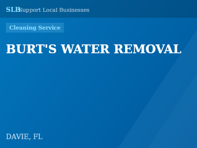 BURT'S WATER REMOVAL — Cleaning Service in DAVIE, FL
