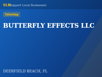 BUTTERFLY EFFECTS LLC — Tutoring in DEERFIELD BEACH, FL