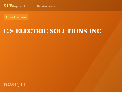 C.S ELECTRIC SOLUTIONS INC — Electrician in DAVIE, FL