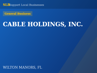 CABLE HOLDINGS, INC. — General Business in WILTON MANORS, FL