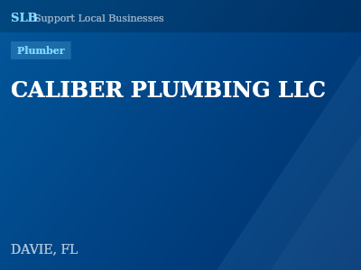 CALIBER PLUMBING LLC — Plumber in DAVIE, FL
