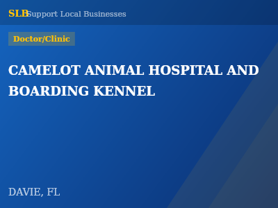 CAMELOT ANIMAL HOSPITAL AND BOARDING KENNEL — Doctor/Clinic in DAVIE, FL
