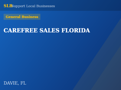 CAREFREE SALES FLORIDA — General Business in DAVIE, FL