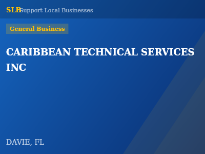 CARIBBEAN TECHNICAL SERVICES INC — General Business in DAVIE, FL