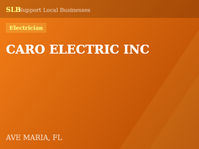 CARO ELECTRIC INC — Electrician in AVE MARIA, FL