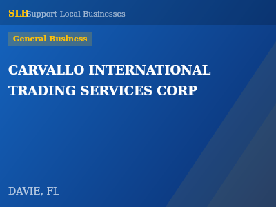 CARVALLO INTERNATIONAL TRADING SERVICES CORP — General Business in DAVIE, FL