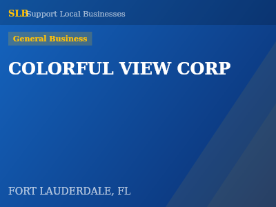 COLORFUL VIEW CORP — General Business in FORT LAUDERDALE, FL