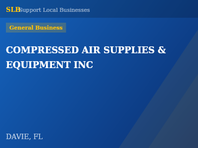 COMPRESSED AIR SUPPLIES & EQUIPMENT INC — General Business in DAVIE, FL