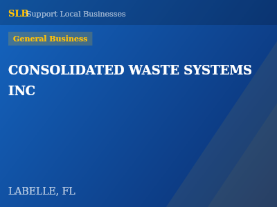CONSOLIDATED WASTE SYSTEMS INC — General Business in LABELLE, FL