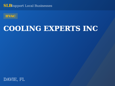 COOLING EXPERTS INC — HVAC in DAVIE, FL
