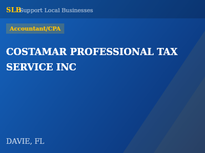 COSTAMAR PROFESSIONAL TAX SERVICE INC — Accountant/CPA in DAVIE, FL