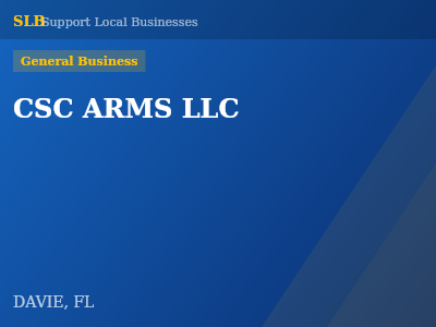 CSC ARMS LLC — General Business in DAVIE, FL