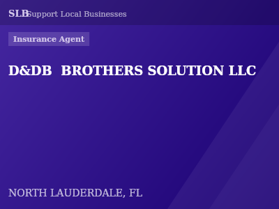 D&DB  BROTHERS SOLUTION LLC — Insurance Agent in NORTH LAUDERDALE, FL