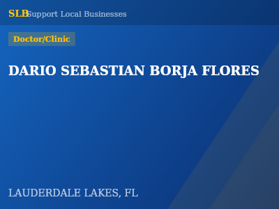 DARIO SEBASTIAN BORJA FLORES — Doctor/Clinic in LAUDERDALE LAKES, FL