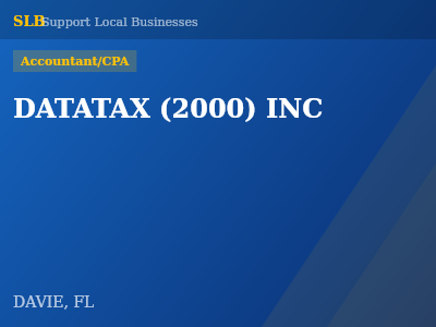 DATATAX (2000) INC — Accountant/CPA in DAVIE, FL