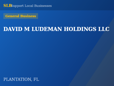 DAVID M LUDEMAN HOLDINGS LLC — General Business in PLANTATION, FL