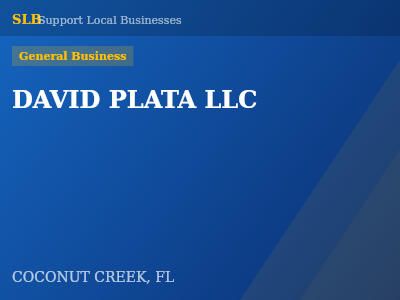 DAVID PLATA LLC — General Business in COCONUT CREEK, FL