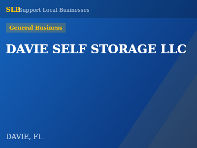 DAVIE SELF STORAGE LLC — General Business in DAVIE, FL