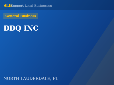 DDQ INC — General Business in NORTH LAUDERDALE, FL