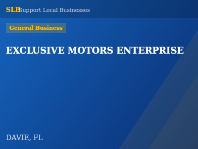 EXCLUSIVE MOTORS ENTERPRISE — General Business in DAVIE, FL