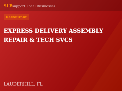 EXPRESS DELIVERY ASSEMBLY REPAIR & TECH SVCS — Restaurant in LAUDERHILL, FL