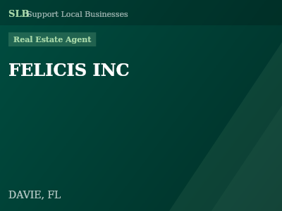 FELICIS INC — Real Estate Agent in DAVIE, FL