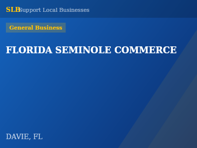 FLORIDA SEMINOLE COMMERCE — General Business in DAVIE, FL