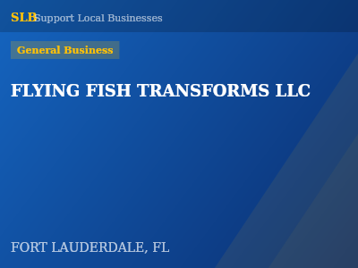 FLYING FISH TRANSFORMS LLC — General Business in FORT LAUDERDALE, FL