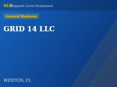 GRID 14 LLC — General Business in WESTON, FL
