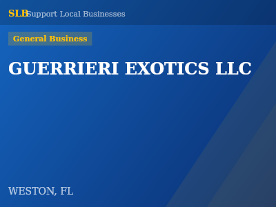 GUERRIERI EXOTICS LLC — General Business in WESTON, FL