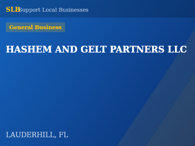 HASHEM AND GELT PARTNERS LLC — General Business in LAUDERHILL, FL