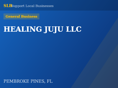 HEALING JUJU LLC — General Business in PEMBROKE PINES, FL