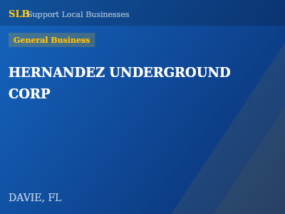 HERNANDEZ UNDERGROUND CORP — General Business in DAVIE, FL
